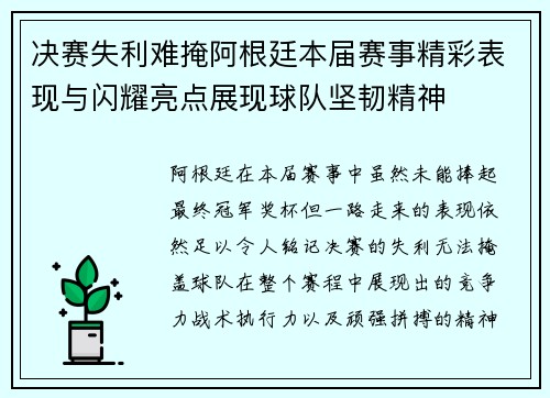 决赛失利难掩阿根廷本届赛事精彩表现与闪耀亮点展现球队坚韧精神